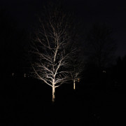 outdoor-lighting-midwest-lightscapes-landscape-lighting-home-outdoor-lighting-services-tree-lightings